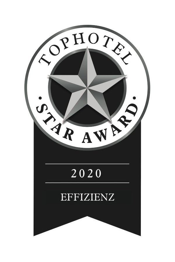 Urkunde_Star-Award_Effizienz_Silber-small copie